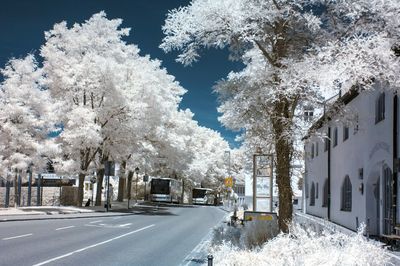 Snow covered road in winter