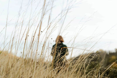 Back view of a woman on a sunny day in autumn