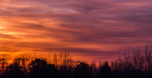 Silhouette trees on landscape against orange sky