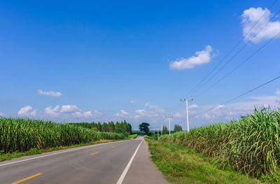 Road amidst field against sky