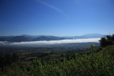 Scenic view of landscape against clear blue sky