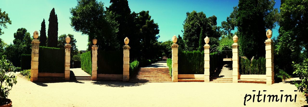 tree, built structure, architecture, building exterior, clear sky, sunlight, text, blue, shadow, palm tree, sky, growth, day, no people, outdoors, western script, house, gate, nature, entrance