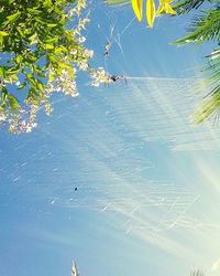 Close-up of water on beach against sky