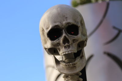 Close-up low angle view of blurred background