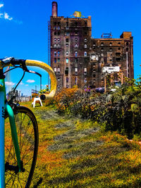 View of flowers against blue sky