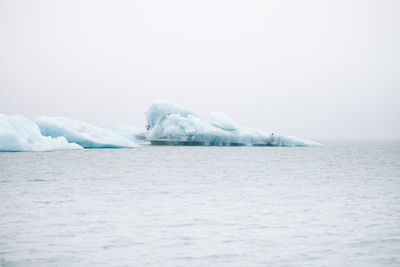 Glaciers in sea