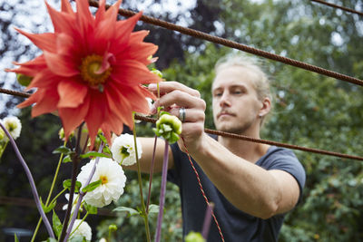 Mid adult gardener tying string to flowers for support in yard