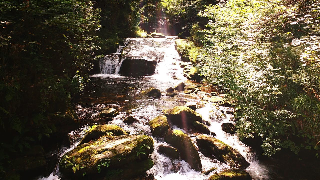 water, waterfall, motion, forest, scenics, stream, beauty in nature, nature, growth, tranquil scene, green color, tranquility, flowing, flowing water, environment, plant, moss, non-urban scene, natural landmark, day, rock formation, green, outdoors, purity, narrow, ethereal, rock, falling water