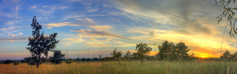 Scenic view of landscape during sunset