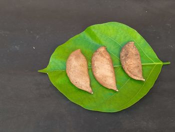 High angle view of green leaves on table
