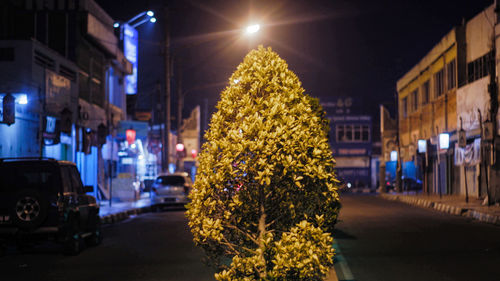Illuminated christmas tree on street amidst buildings in city at night
