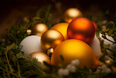 Close-up of baubles on plants during christmas