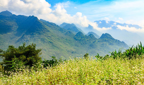Scenic view of mountains against sky