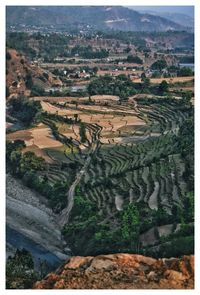 High angle view of trees in field