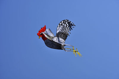 Low angle view of kite flying against clear blue sky