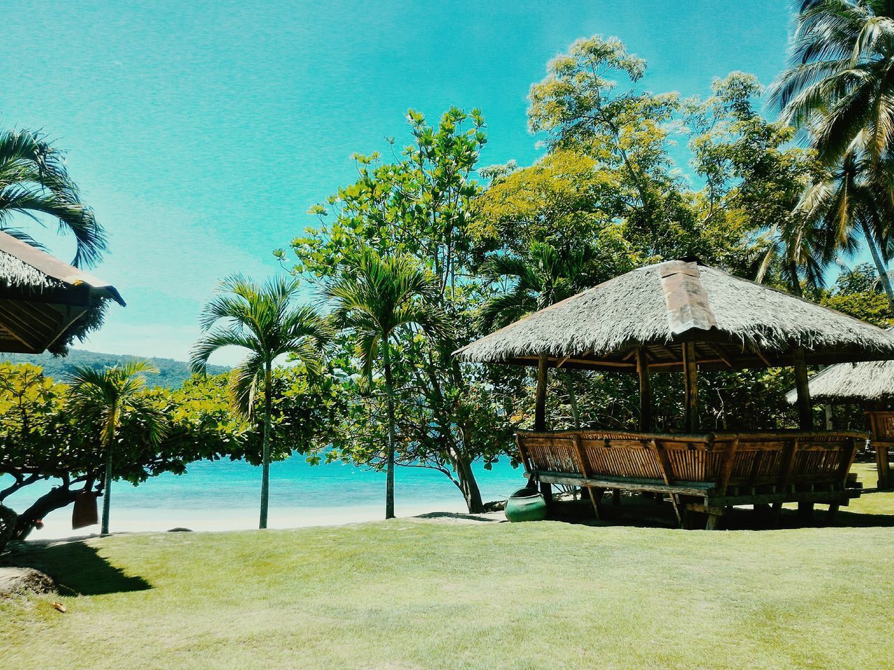 TREES BY SWIMMING POOL AGAINST SKY