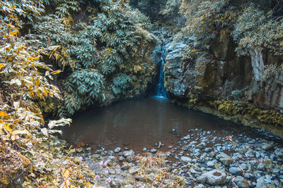 High angle view of water flowing through rocks