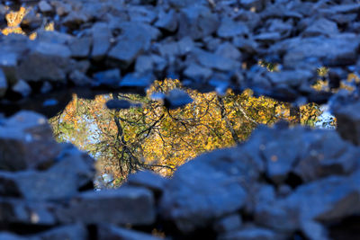 Full frame shot of water