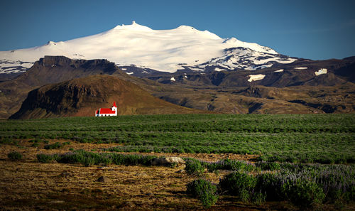 Scenic view of field against sky