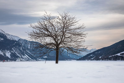 Bare trees on snow covered landscape against sky