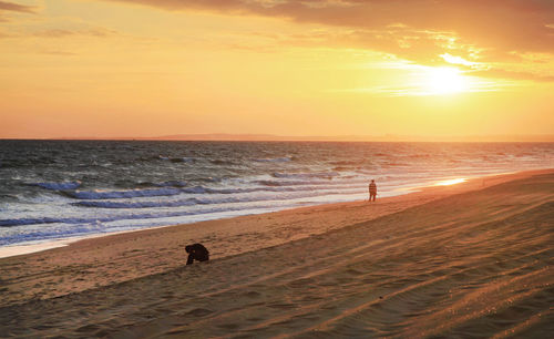 Silhouette man walking on beach against sky during sunset