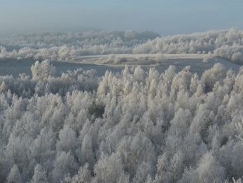 Scenic view of snow covered landscape