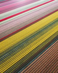 Full frame shot of agricultural field