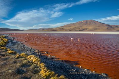 The landscapes from uyuni salt desert, bolivia