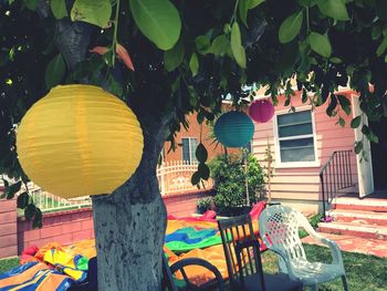 Multi colored chairs by tree against building