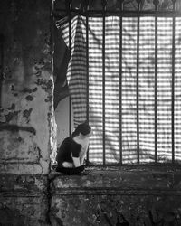 Cat sitting by window on wall