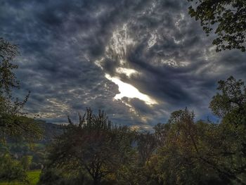 Low angle view of trees against cloudy sky