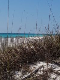 Scenic view of sea against clear sky