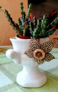 Close-up of succulent plant in vase
