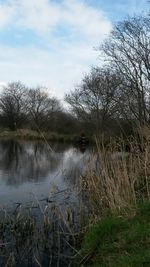 Reflection of trees in lake