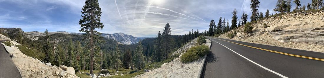 Panoramic view of road amidst trees against sky
