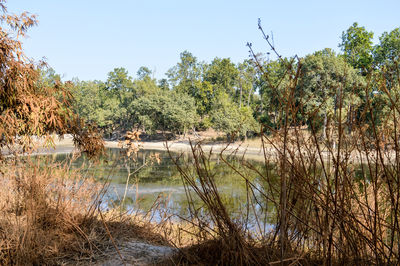 Scenic view of lake against clear sky