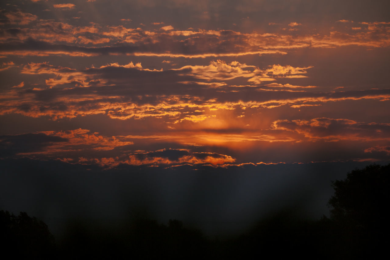 cloud - sky, sky, beauty in nature, sunset, tranquility, tranquil scene, scenics - nature, orange color, idyllic, no people, nature, silhouette, non-urban scene, outdoors, majestic, dramatic sky, environment, tree, cloudscape