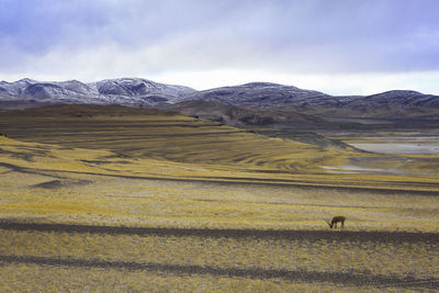 Scenic view of dramatic landscape against cloudy sky