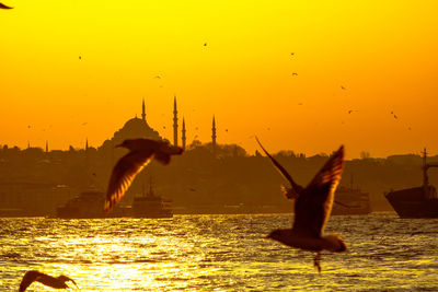 Silhouette bird flying over sea against sky during sunset