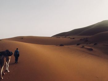 Man walking with mammal on desert against clear sky