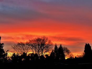 Silhouette trees against sky during sunset