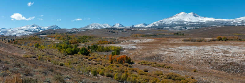 Panorama of fall colors with the snow covered eastern sierras in the distance