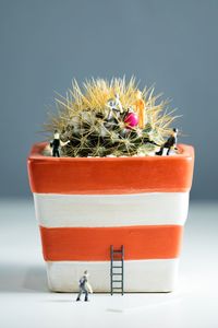 Close-up of potted plant and figurine