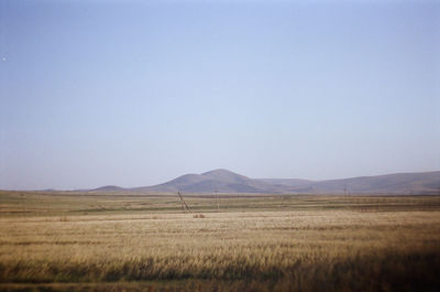 Scenic view of field against clear sky