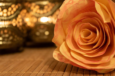 Close-up of rose on table