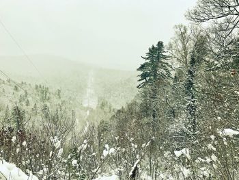 Scenic view of snow covered land