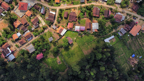 High angle view of trees and houses on field