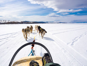 Dog running on snow covered field against sky