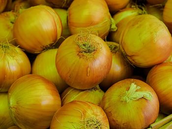 Full frame shot of fruits for sale at market stall