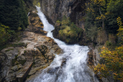 Scenic view of waterfall in forest
